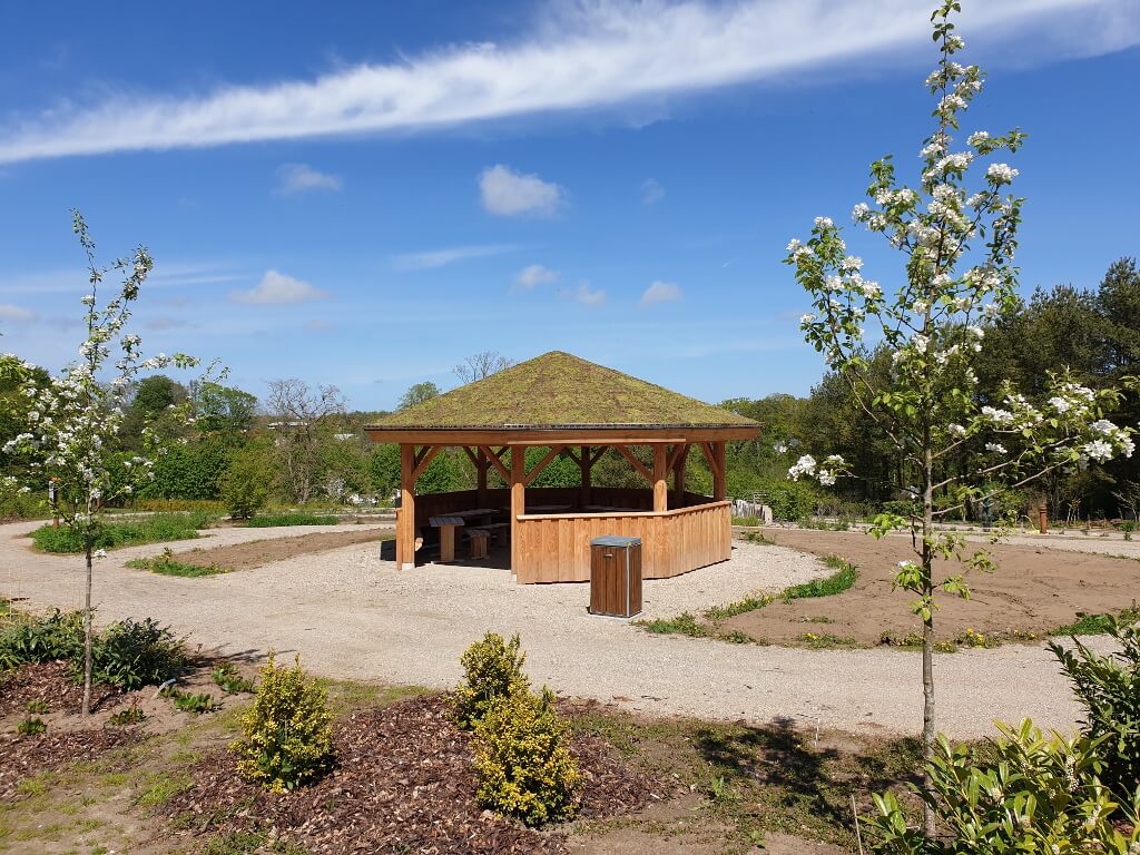 Sedum roof for campfires